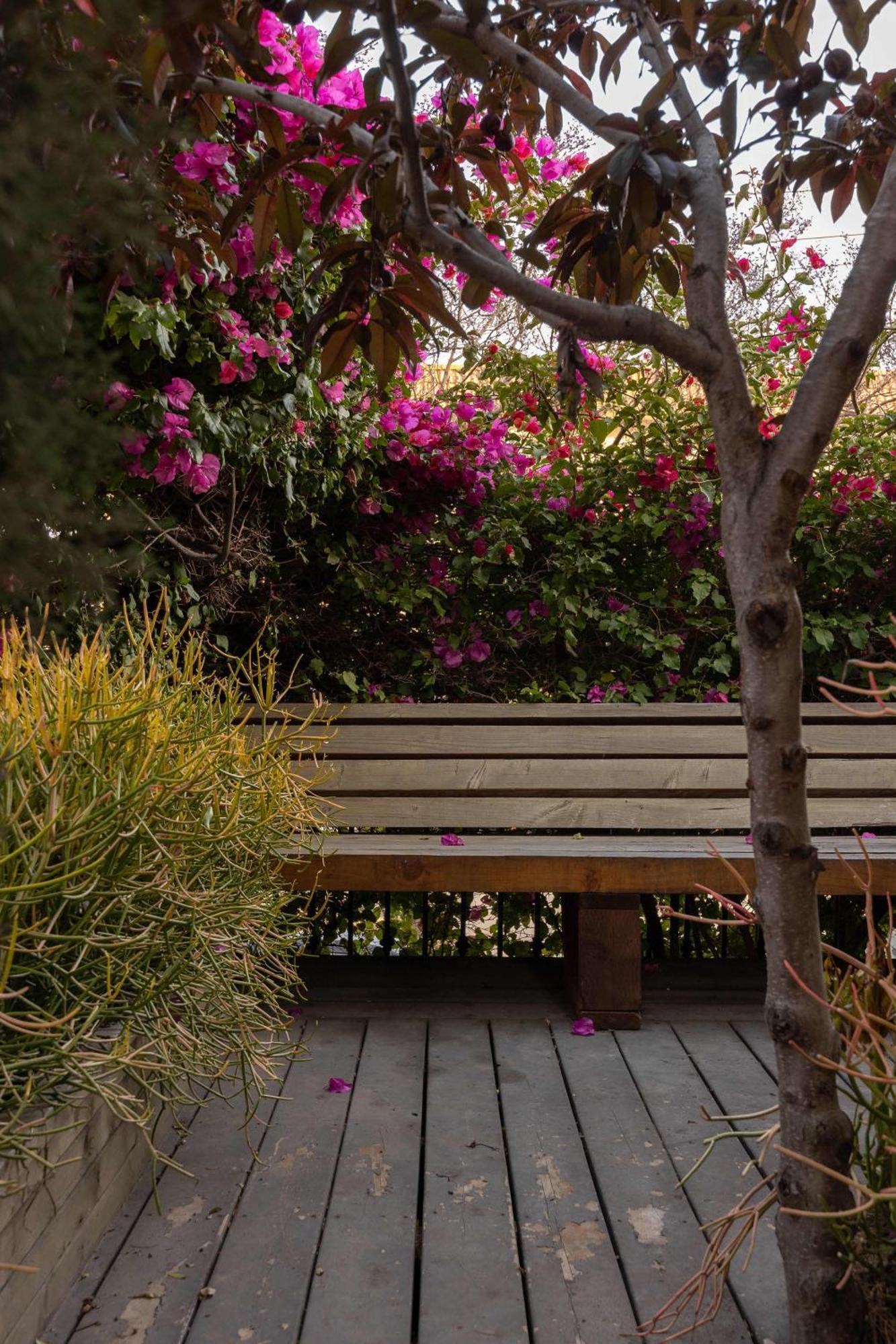 Ocean Views And Oasis Holiday home *