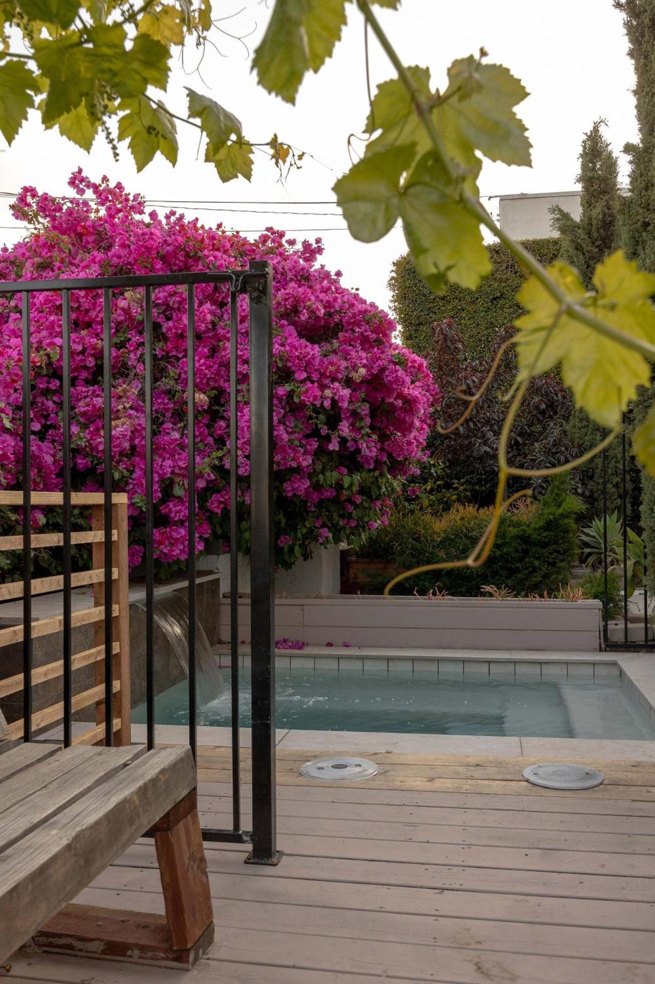 Holiday home Ocean Views And Oasis *
